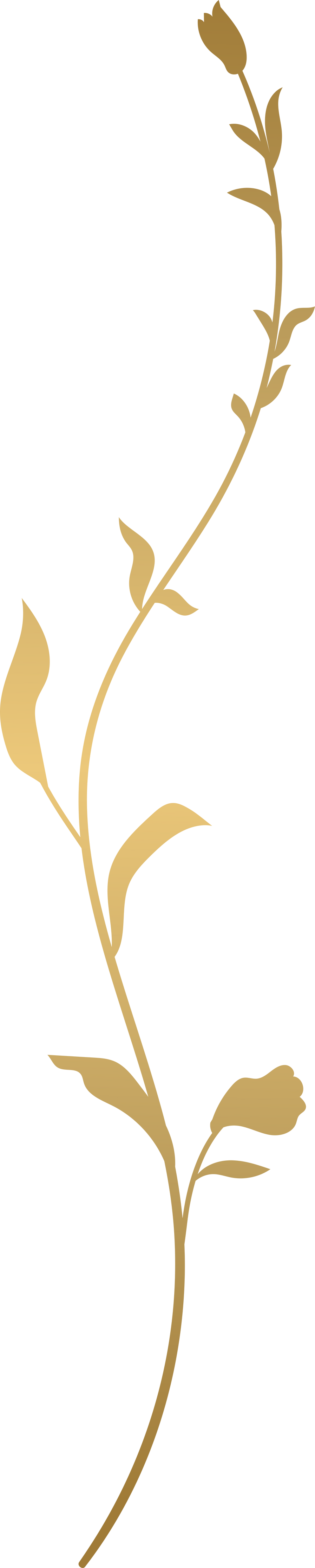 Gold leaf branch illustration